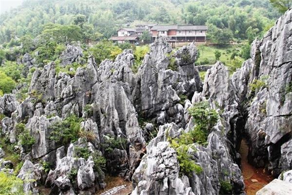 千岛湖石林