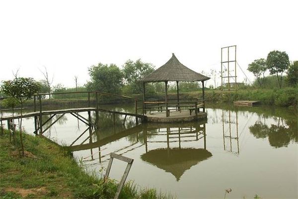 龙头湾野外运动场