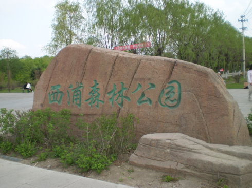 金帽山森林公园