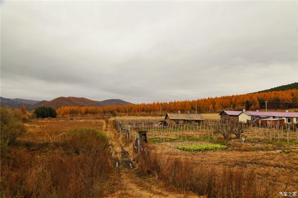 横山古墓群