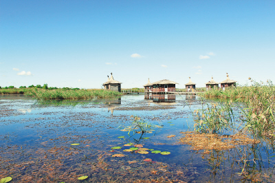 林甸湿地旅游区