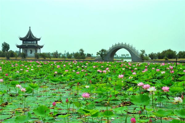 龙凤公园