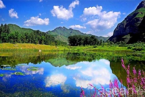 羊鼻山森林生态旅游区