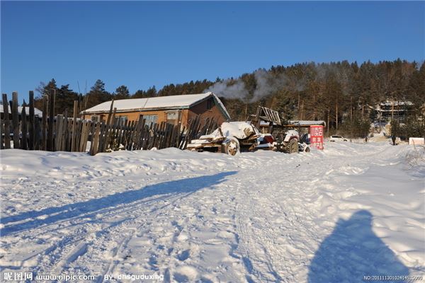 梨树乡雪景