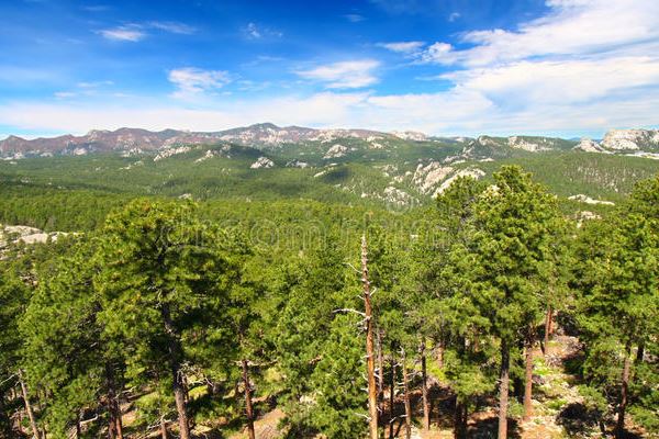 黑山森林生态旅游区