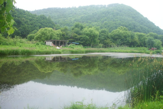 亚东水库景区