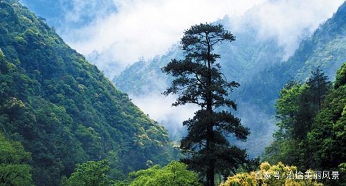 老白山自然保护区