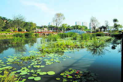 长白山植物园