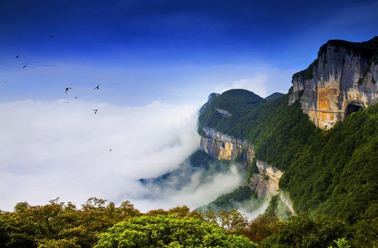 金佛山风景区