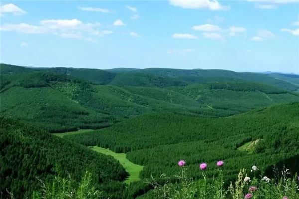 高山花园