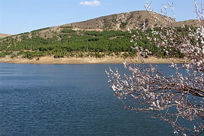 东郊湖风景区