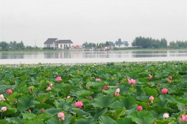 黑山莲花湖