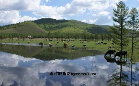 呼伦贝尔柴河旅游区