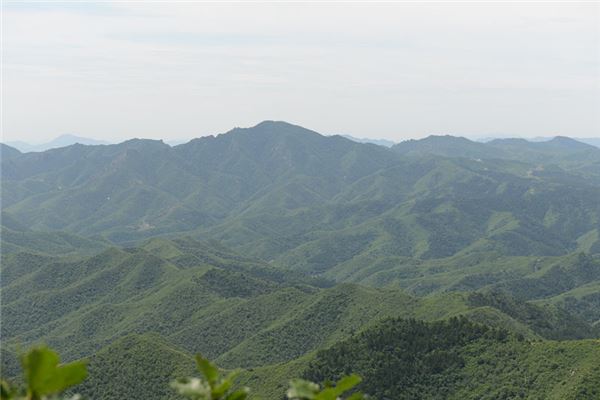 大黑山自然保护区