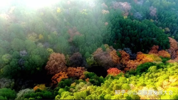 五鹿山自然保护区