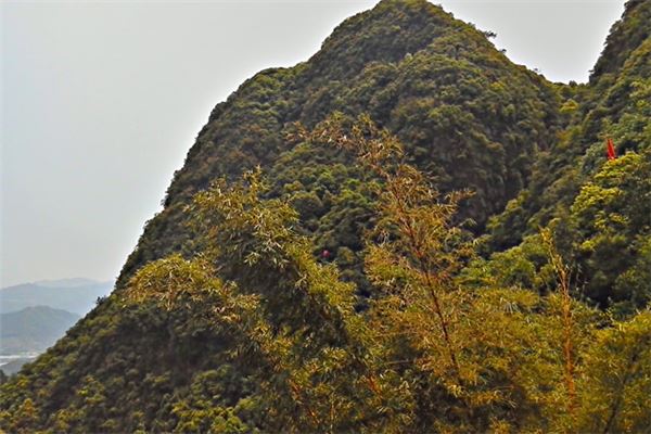 紫荆山风景区