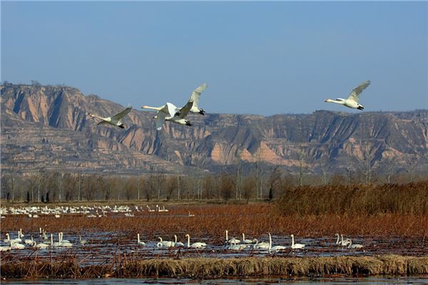 圣天湖