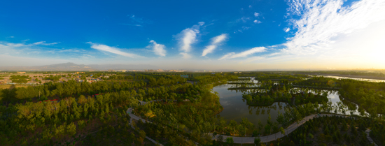 汾河湿地森林公园