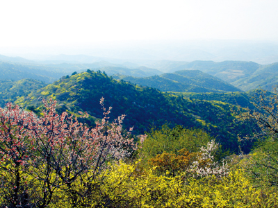 盘秀山