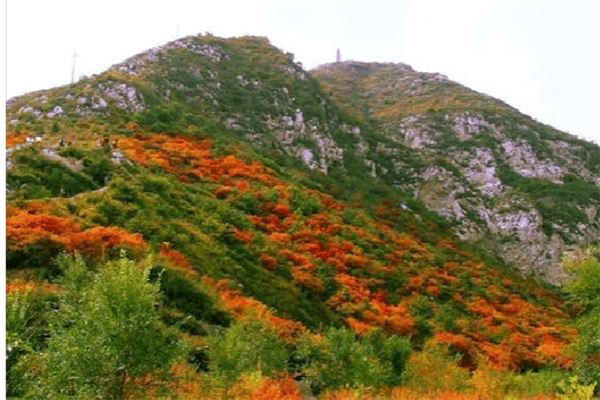 崛围山景区