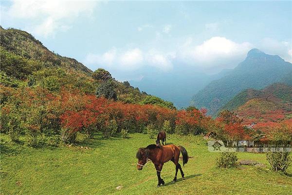 元宝山