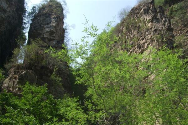 西胜沟风景区