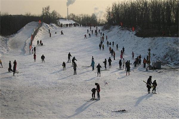 弯道山滑雪场