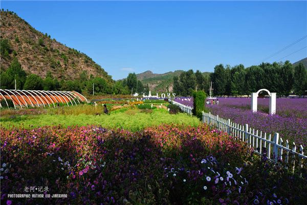 紫海香堤香草艺术庄园