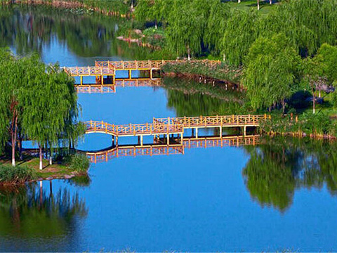 三里河湿地生态公园