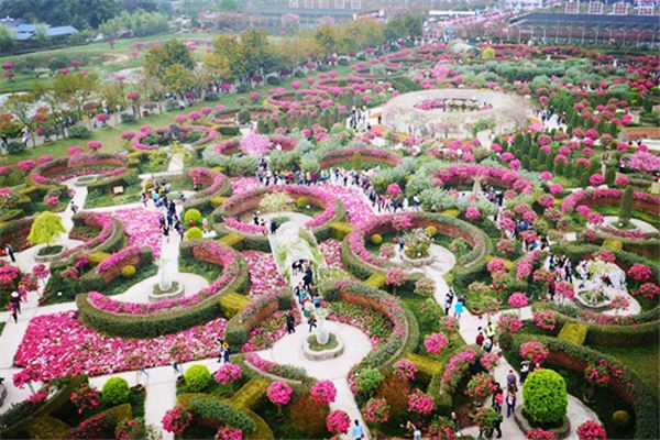 花舞人间景区