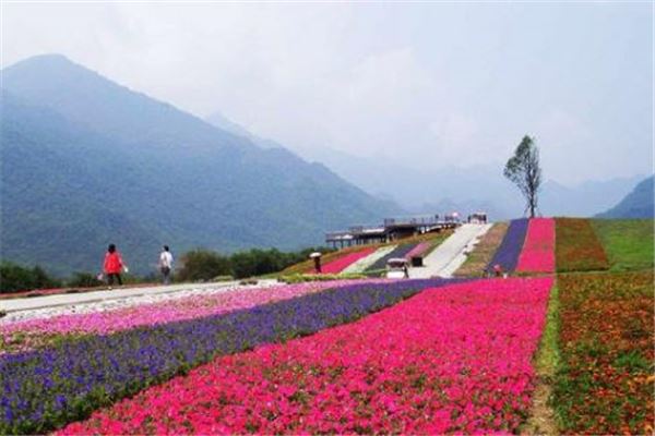 重庆红池坝草原