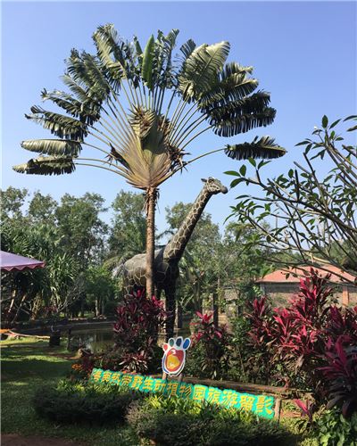 海南热带野生动植物园