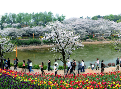 湖南省森林植物园