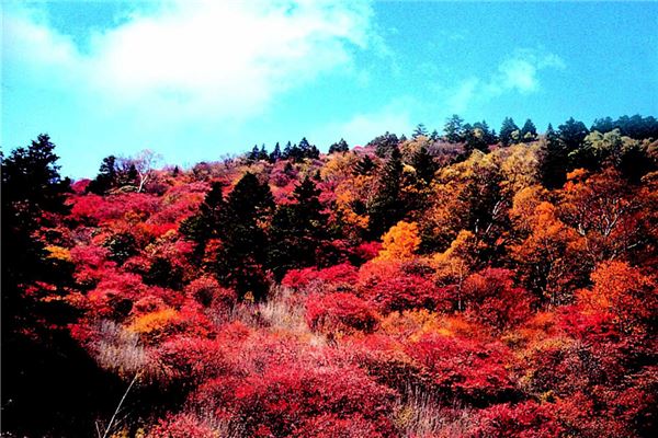 神农架红坪景区