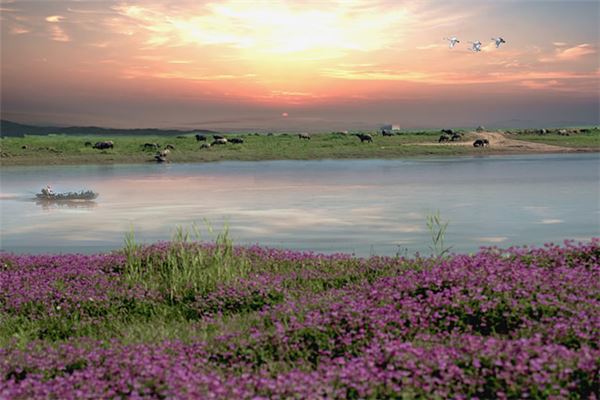 鄱阳湖生态湿地公园