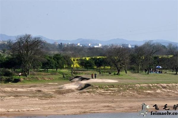 莒洲岛