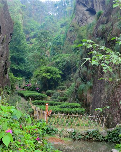 大红袍景区