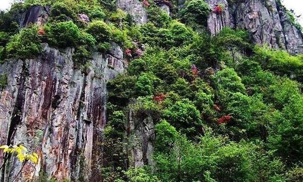 龙泉山景区