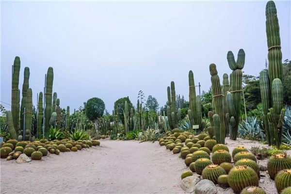 万石植物园