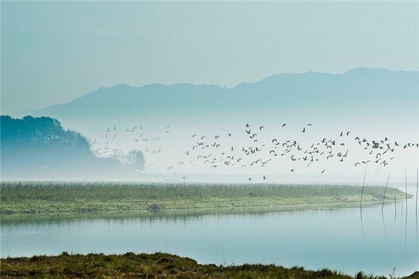 池州升金湖