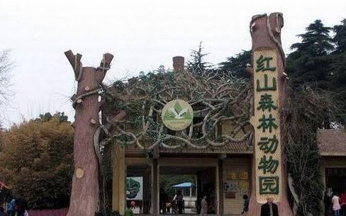 红山森林动物园