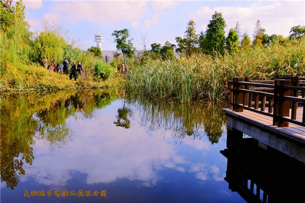 吴淞炮台湾湿地森林公园