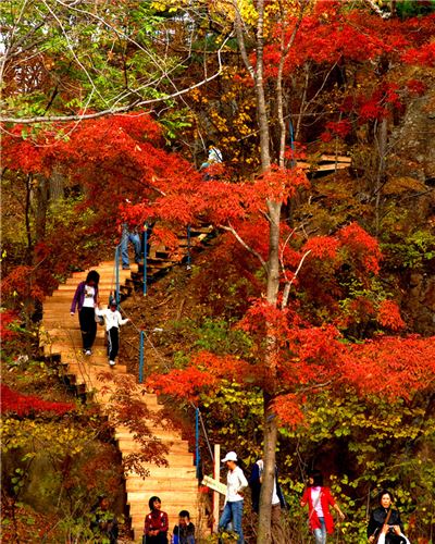 横头山国家森林公园