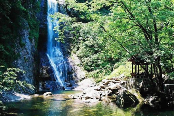 九龙原始森林景区