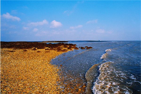 黄金海滩