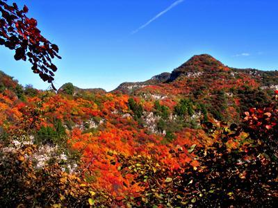 仙台山