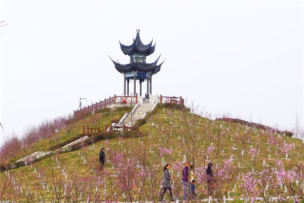 天下第一桃花园风景区