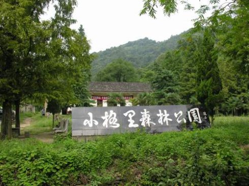 小格里森林公园