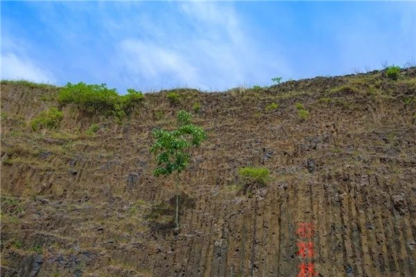 桂子山石柱林