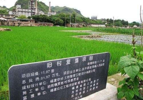 宅基地复垦设施农业园区